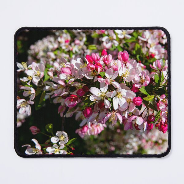 Item preview, Millennium Park Spring designed and sold by Daniel's Destinations.