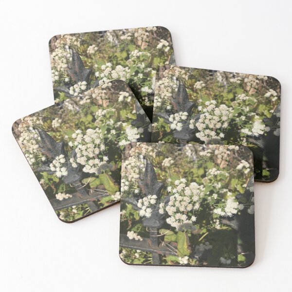 Item preview, Gloucester  designed and sold by SnappedbyRivka.