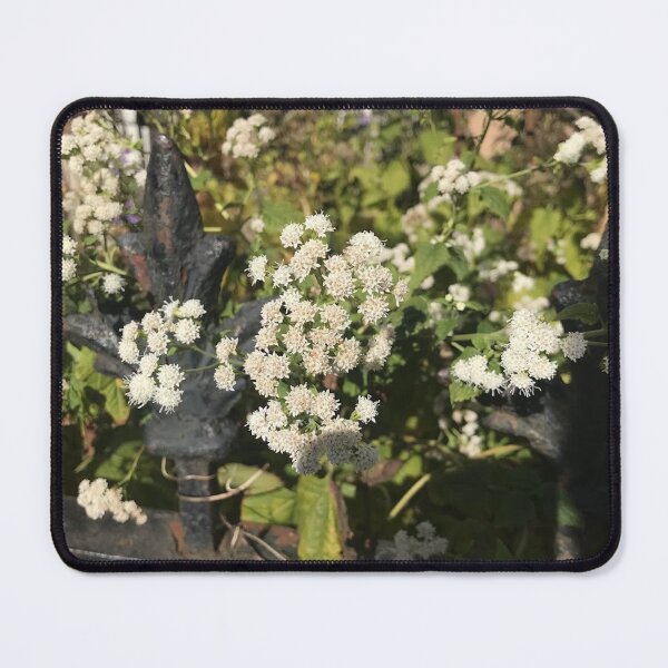 Item preview, Gloucester  designed and sold by SnappedbyRivka.