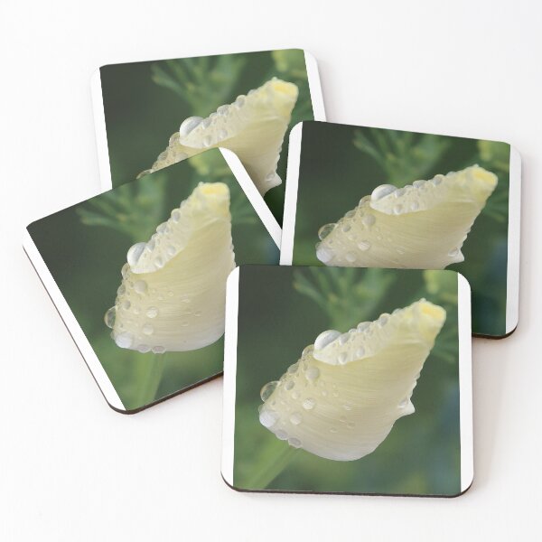 Item preview, raindrops on a flower bud designed and sold by Gaylene Norton.