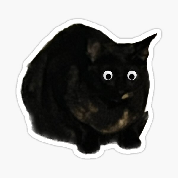 cat with big googly eyes is sad' Sticker