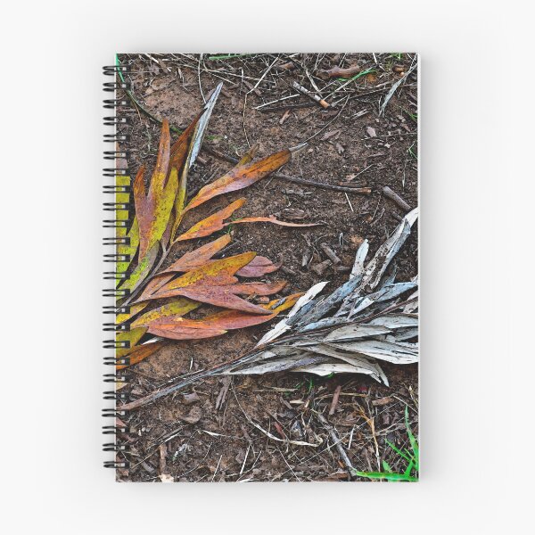Item preview, Multi-colored or monochrome? designed and sold by Jen Waltmon.