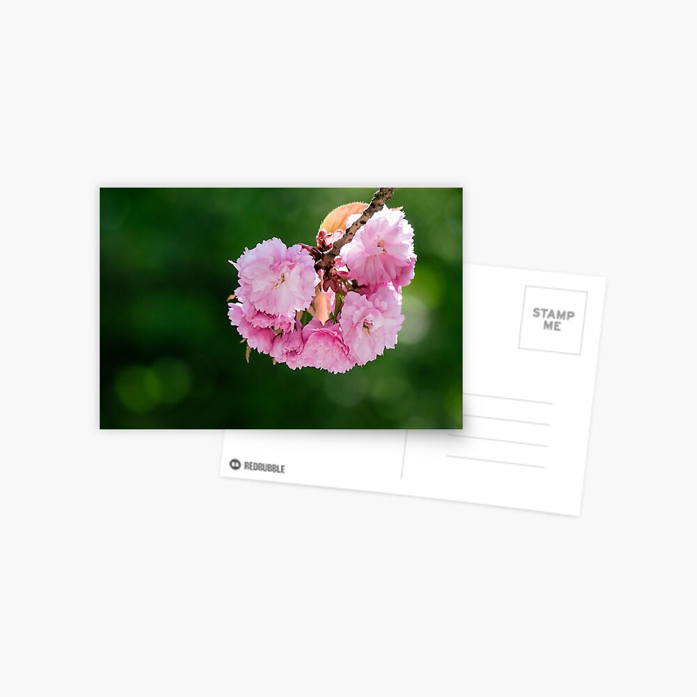 Item preview, Postcard designed and sold by mike-pellinni.