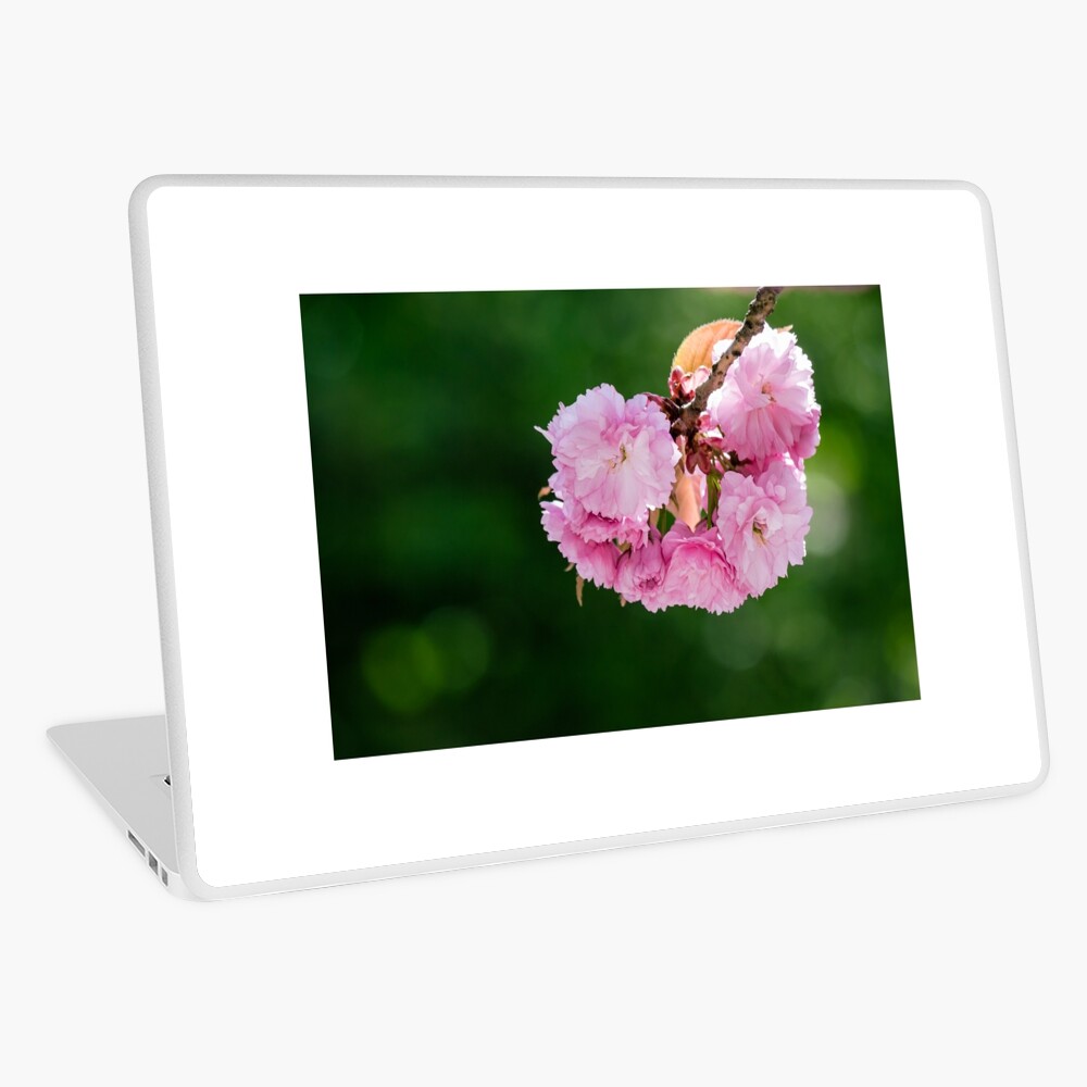 Item preview, Laptop Skin designed and sold by mike-pellinni.