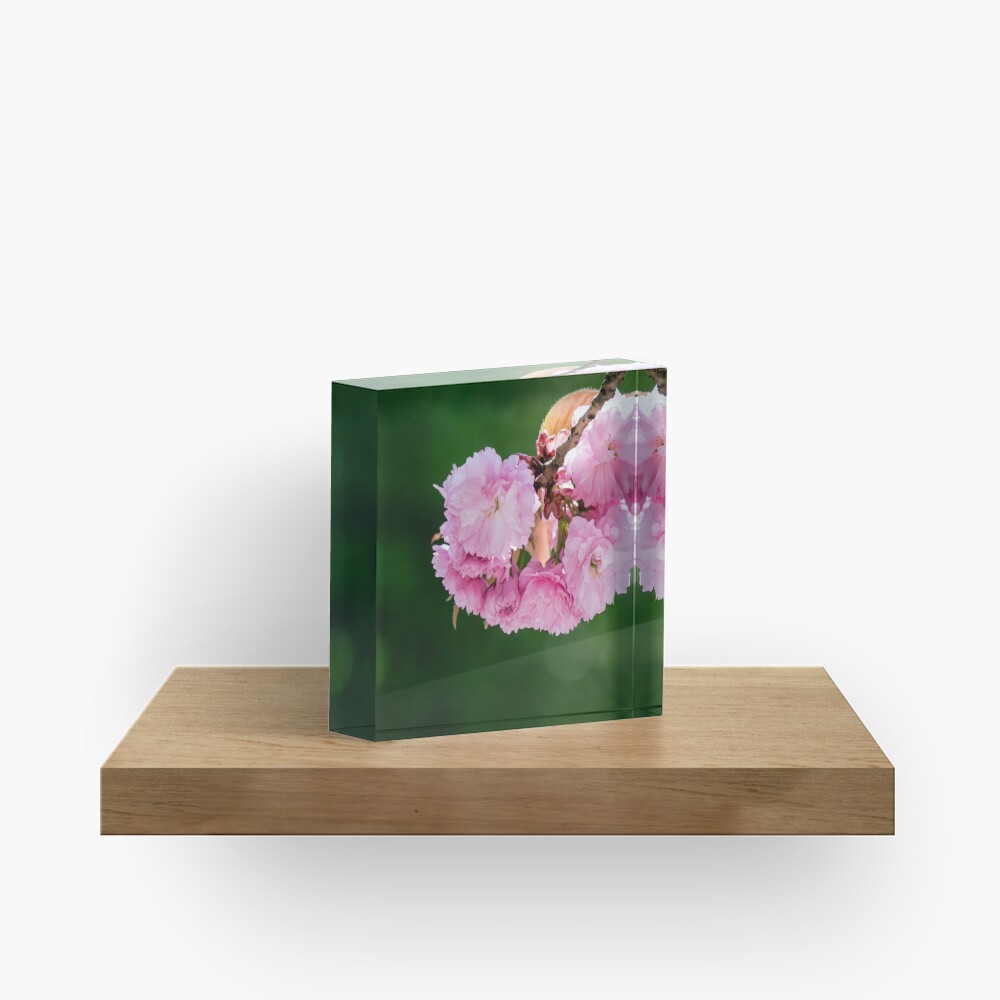 Item preview, Acrylic Block designed and sold by mike-pellinni.
