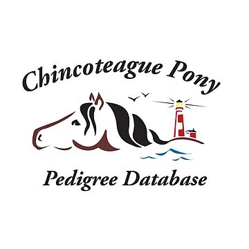 Artwork thumbnail, Chincoteague Pony Pedigree Database by chincoteague