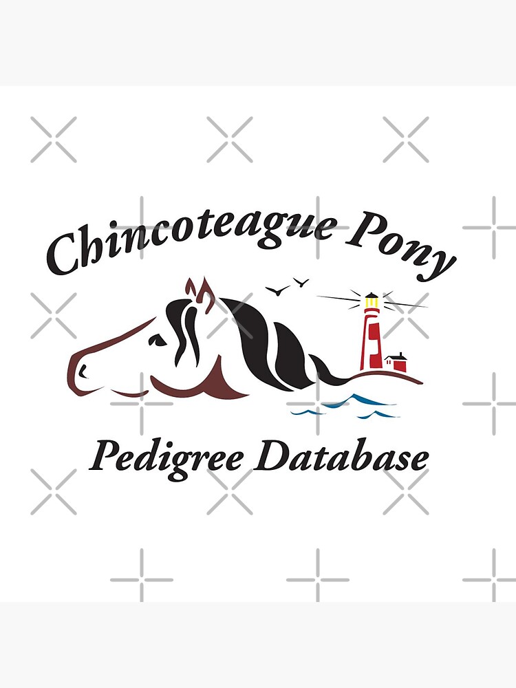 Thumbnail 3 of 3, Sticker, Chincoteague Pony Pedigree Database designed and sold by chincoteague.