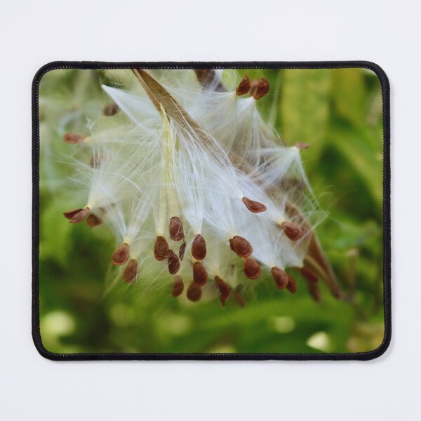 Item preview, Milkweed Pods I designed and sold by Michiale.