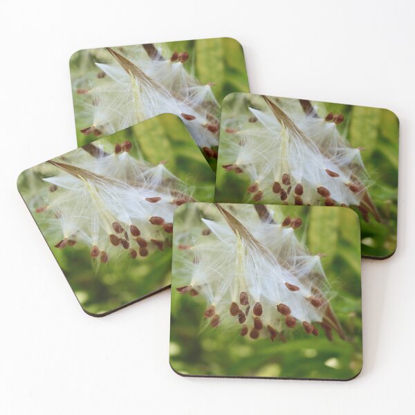 Item preview, Milkweed Pods I designed and sold by Michiale.