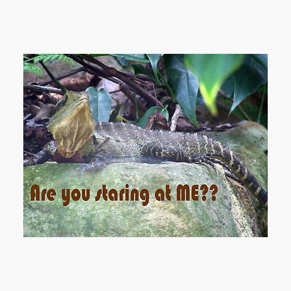 Artikelvorschau, Are you staring at me? entworfen und verkauft von Shawtiie.