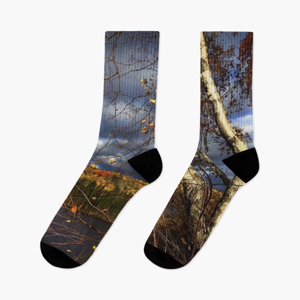 Item preview, Beautiful autumn forests view by the lakeside  designed and sold by Durgaa D.