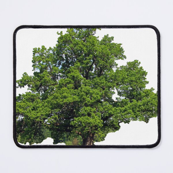 Item preview, Large Oak Tree designed and sold by David-Howells.