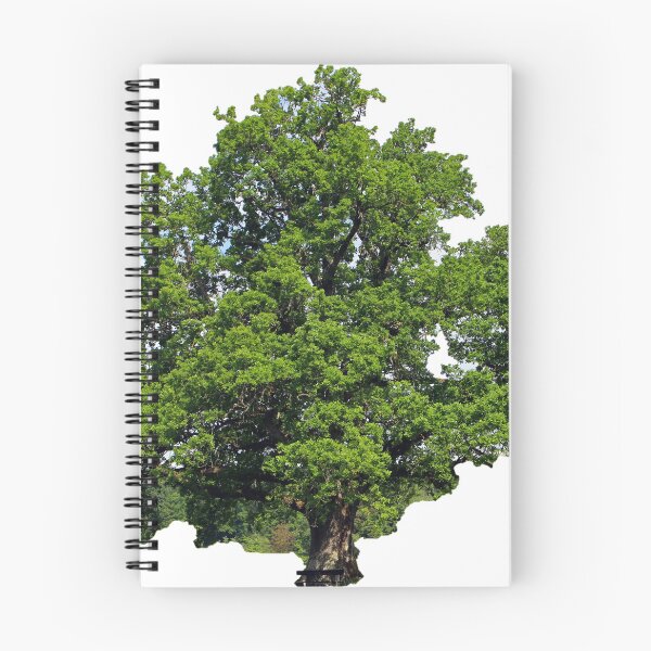 Item preview, Large Oak Tree designed and sold by David-Howells.
