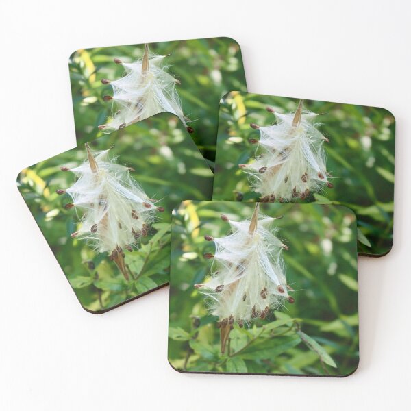 Item preview, Milkweed Pods II designed and sold by Michiale.