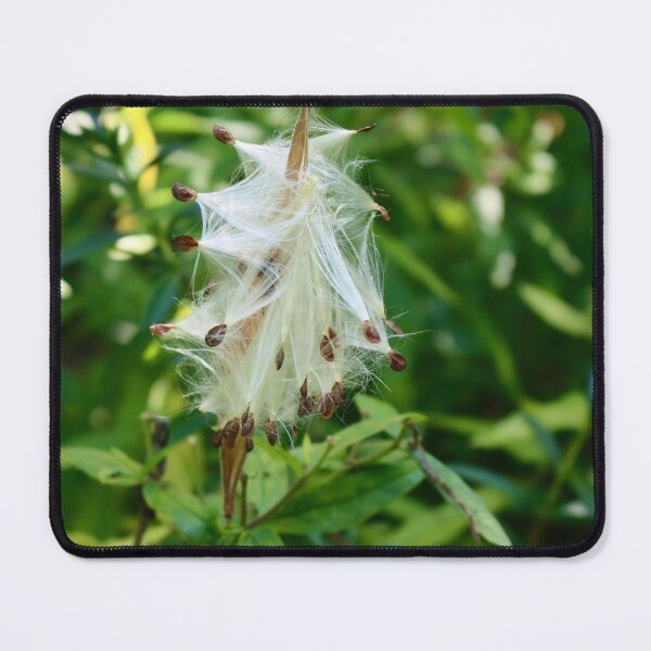 Item preview, Milkweed Pods II designed and sold by Michiale.