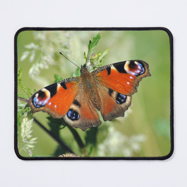Item preview, Aglais Io designed and sold by iago rodriguez dopico.