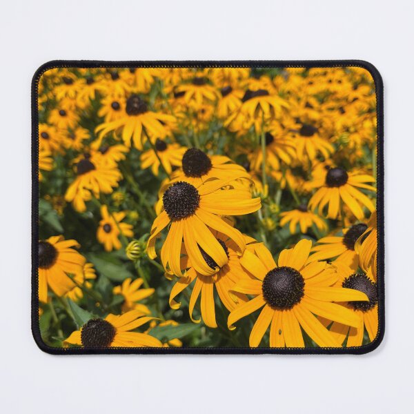 Item preview, Black-eyed Susans designed and sold by Panicked Pixie.