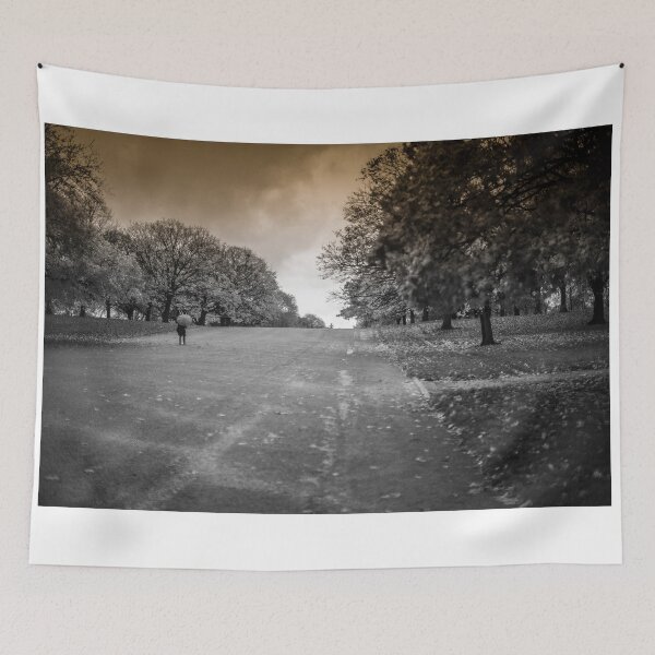 Item preview, hyde park november 2012 designed and sold by Adam Glen.