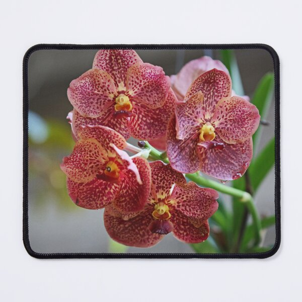 Item preview, Breezes Aloft  designed and sold by Michiale.