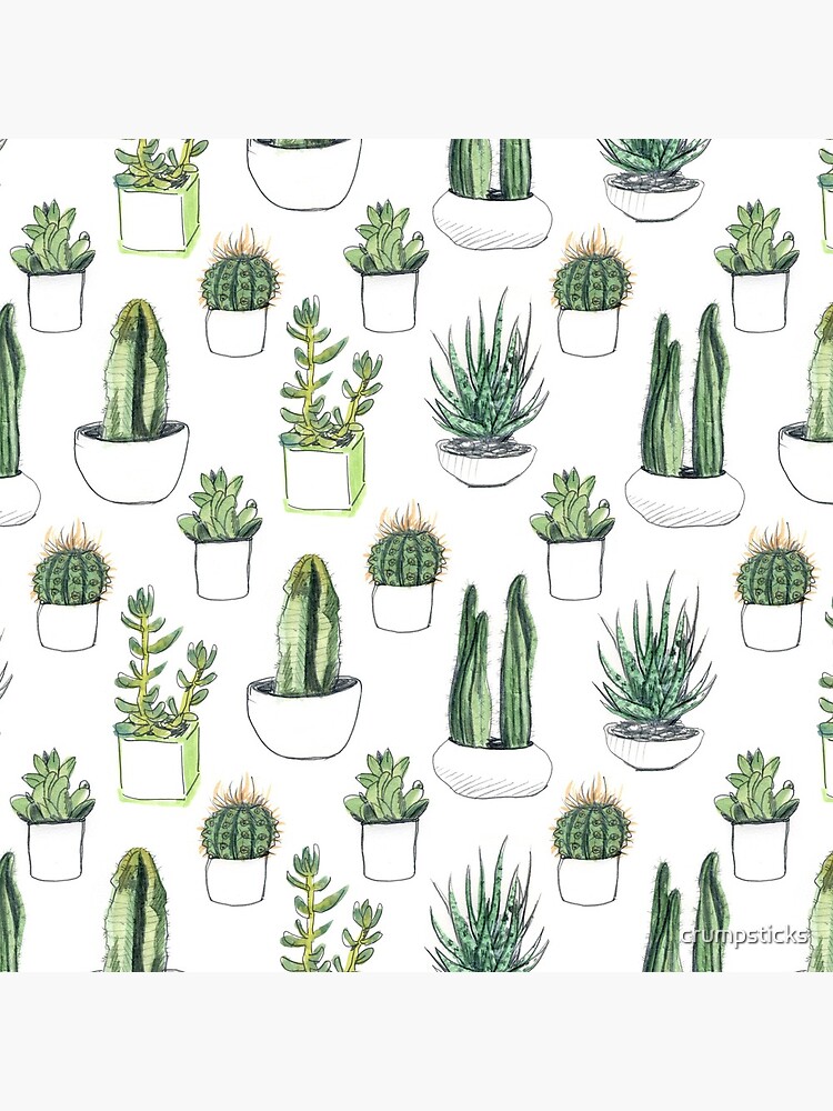 Watercolour cacti & succulents by crumpsticks