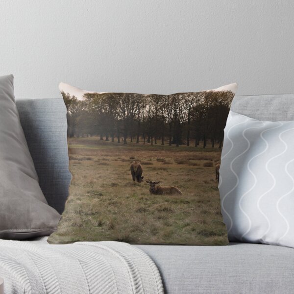 Item preview, richmond park april 2012v6 designed and sold by Adam Glen.