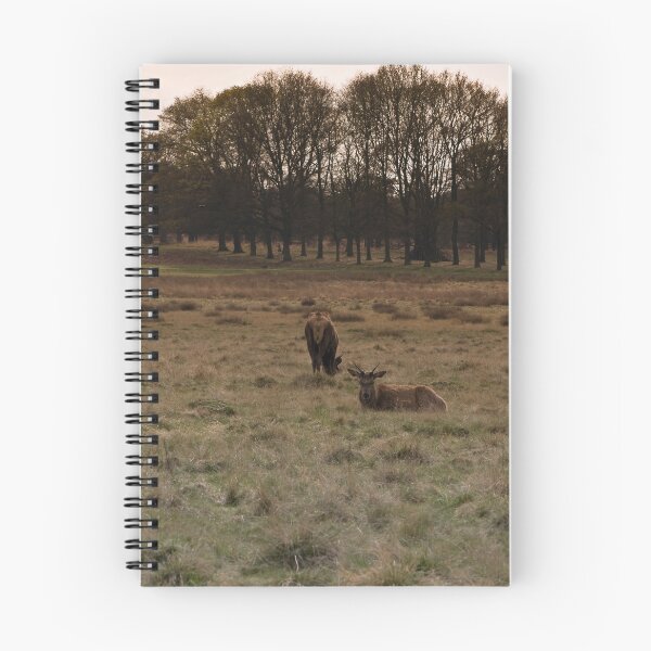 Item preview, richmond park april 2012v6 designed and sold by Adam Glen.