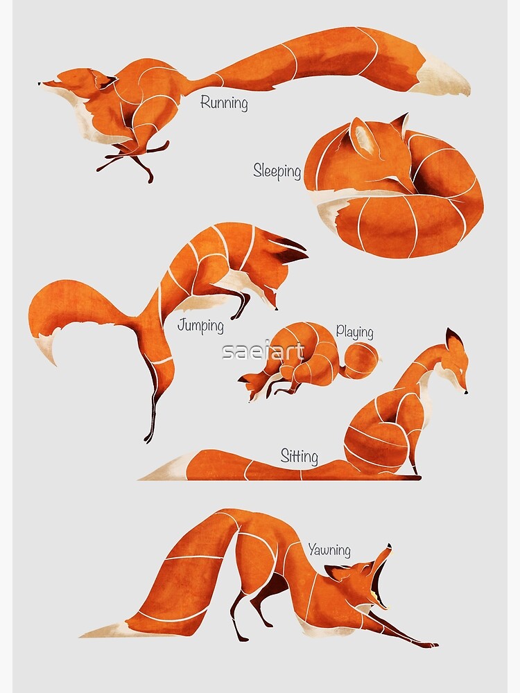 "Fox poses " Poster by saeiart Redbubble