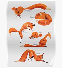 Fox poses Poster