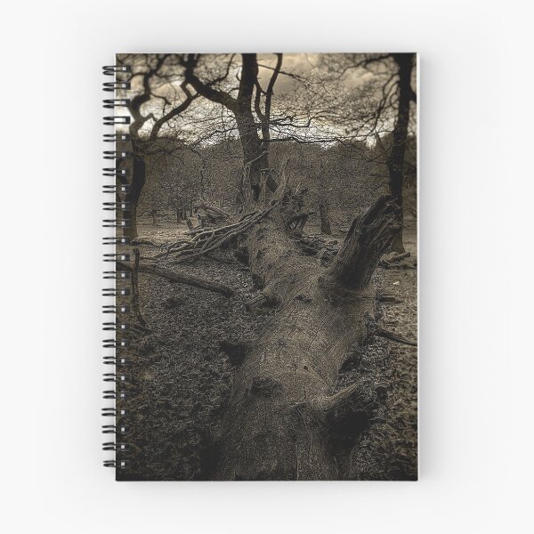 Item preview, Richmond park april 2012v2 designed and sold by Adam Glen.