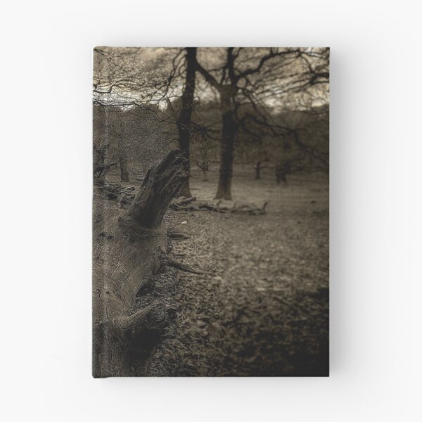 Item preview, Richmond park april 2012v2 designed and sold by Adam Glen.