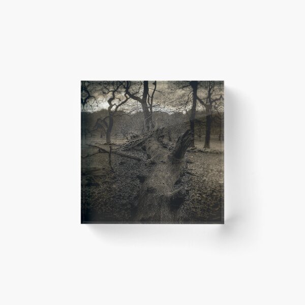 Item preview, Richmond park april 2012v2 designed and sold by Adam Glen.