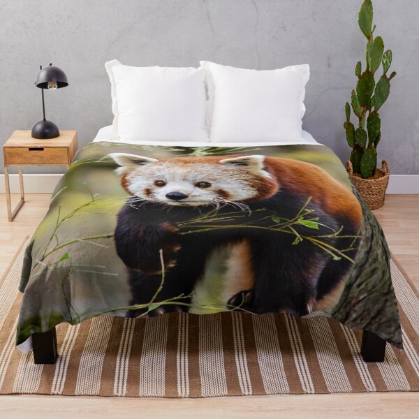Item preview, Panda rojo en estado salvaje designed and sold by RepublicOfFire.