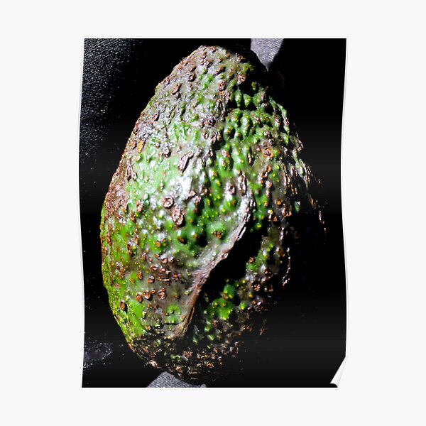 Alligator Fruit in Space Poster