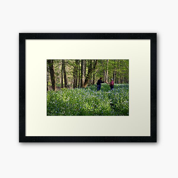 PA BlueBells Framed Art Print