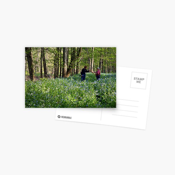PA BlueBells Postcard