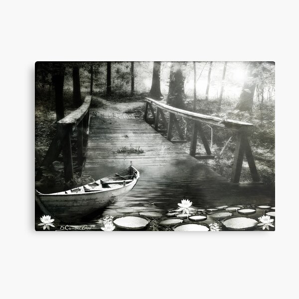 Remanso B&W Metal Print