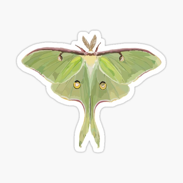 Melancholy Moth Sticker