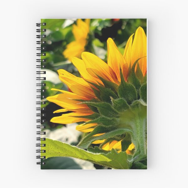 Item preview, Sunflower Perspective designed and sold by EyeOfDelight.