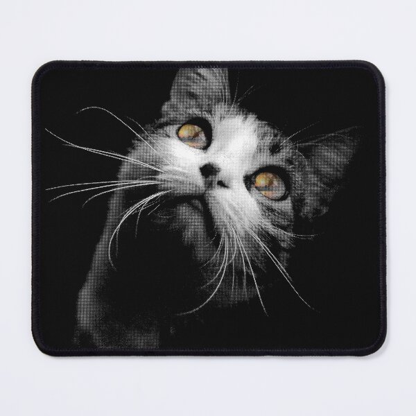 Item preview, kitty cat looking at sunset funny cat designed and sold by hadlamcom.