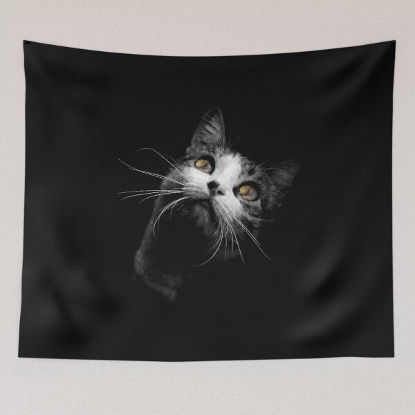 Item preview, kitty cat looking at sunset funny cat designed and sold by hadlamcom.
