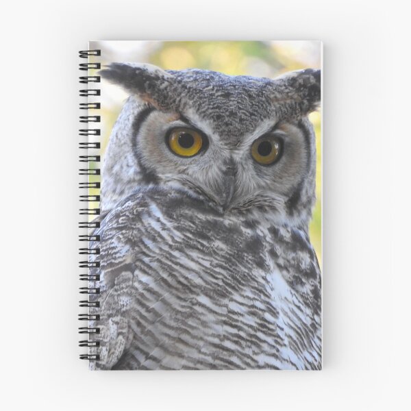 Item preview, Beautiful horned owl  designed and sold by Stephanie  Skeem.