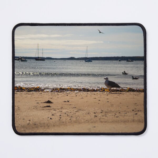 Item preview, Seal Harbor Beach designed and sold by Daniel's Destinations.