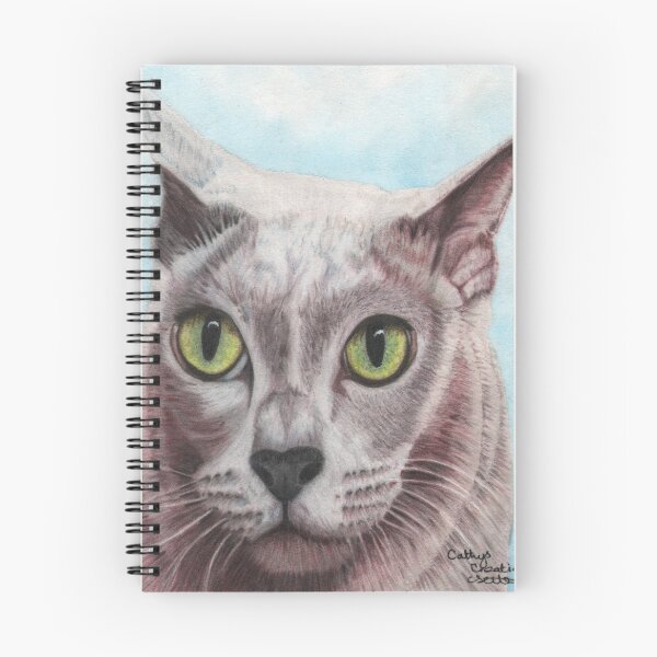 Item preview, Harry the Burmese cat designed and sold by cathyscreations.
