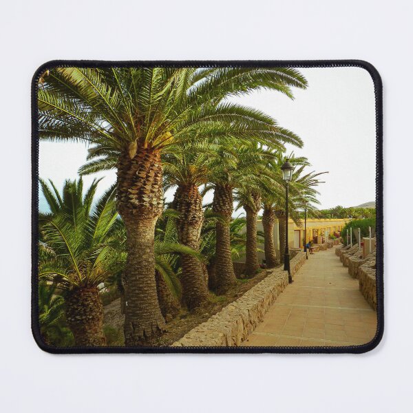 Item preview, Beautiful Landscape in Fuerteventura, Spain #1 designed and sold by Ocera-Photo.