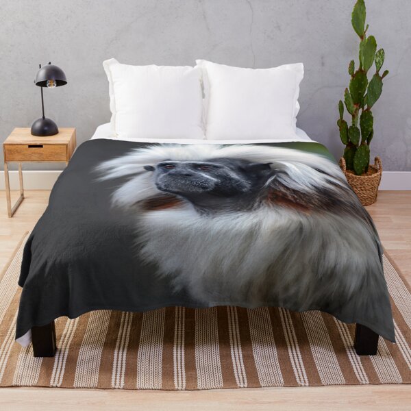 Item preview, Cotton Topped Tamarin designed and sold by Savannah Gibbs.