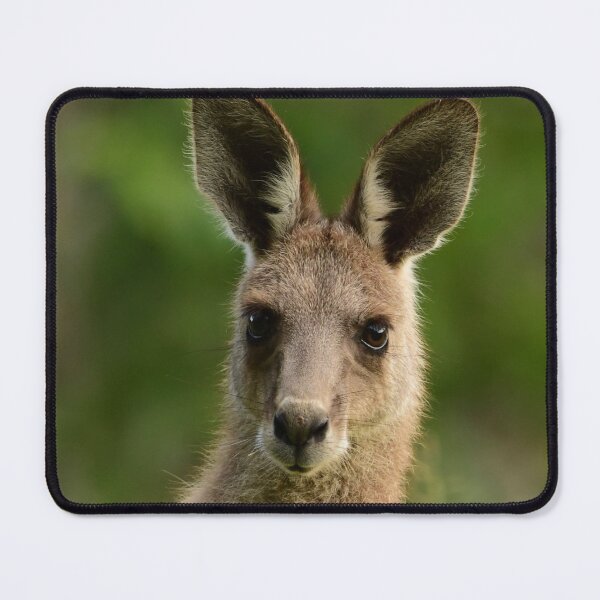 Item preview, Pretty Roo designed and sold by photosbymia.