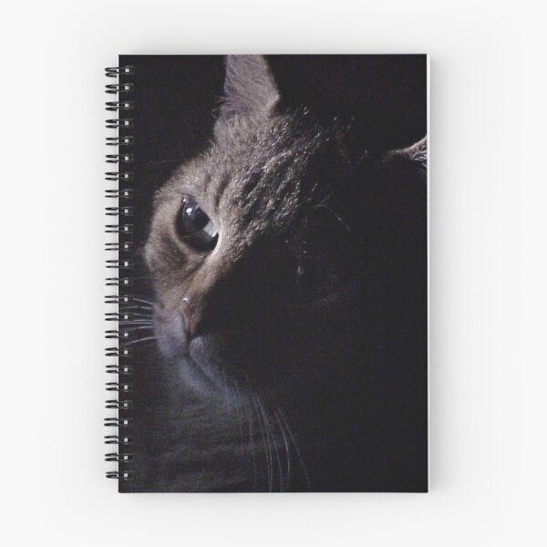 Item preview, Tabby Cat Highlighted designed and sold by Rebecca Jane.