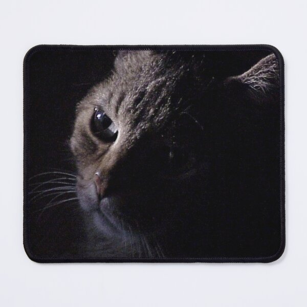 Item preview, Tabby Cat Highlighted designed and sold by Rebecca Jane.
