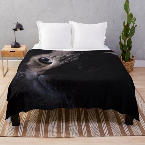 Item preview, Tabby Cat Highlighted designed and sold by Rebecca Jane.