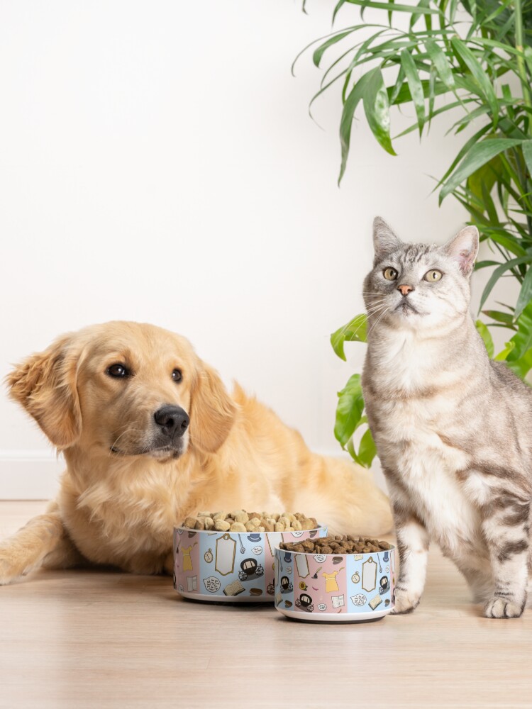 Alternate view of Polin Pet Bowl